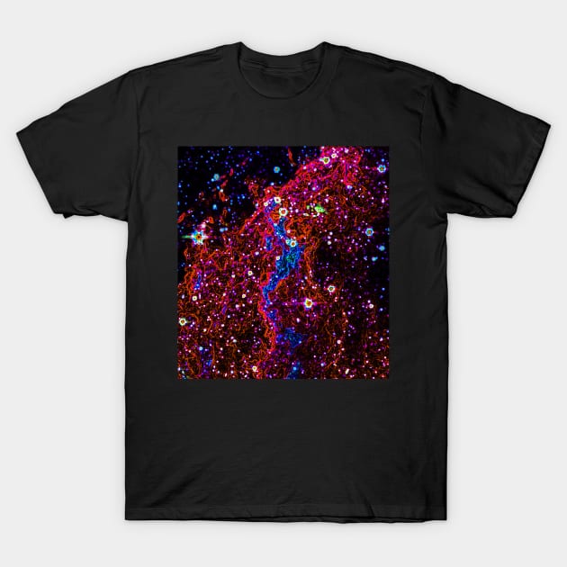 Black Panther Art - Glowing Edges 610 T-Shirt by The Black Panther